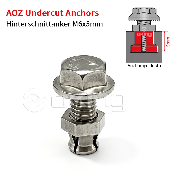 AOZ ステンレス鋼 M6x5mm アンダーカットアンカー、アンダーカット固定システム用ヒンターシュニットタンカー